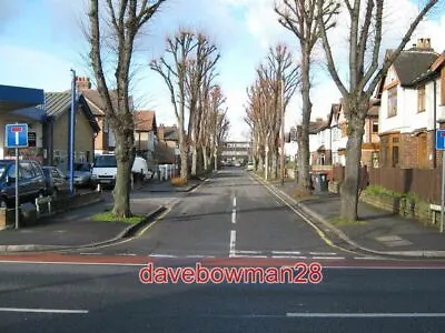Photo  Cedar Avenue Beeston Apparently Lined With Lime Trees Not Cedars.this Cul • £1.70