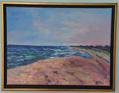 Beth Riso Original Fine Art Oil Painting - Nauset Beach - Orleans - Cape Cod • $475