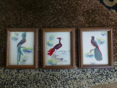 Virginia Miller And Rhoads Dep't Store (3) Vintage Bird Feather Art Decorations • $48.99