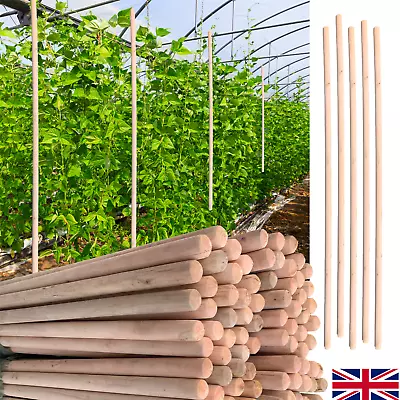5 Wooden Handles 4Ft 120cm Thick Flower Supports Plant Support Stick Garden Pole • £8.79