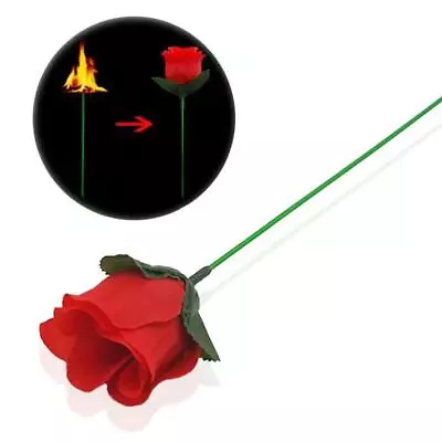 Magic Flame To Rose Appearing Flower Magic Street Magic Easy Magic Tricks Toy 1x • £1.31