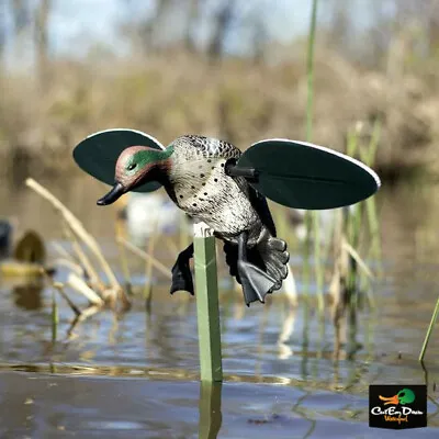 $54.90 • Buy New Mojo Outdoors Green Wing Teal Spinning Wing Duck Decoy