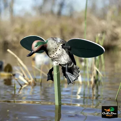 New Mojo Outdoors Green Wing Teal Spinning Wing Duck Decoy • $54.90