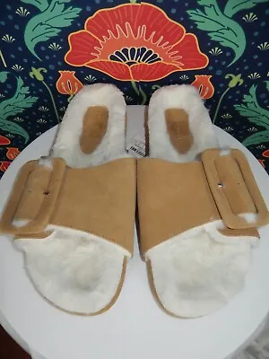 $47.99 • Buy Zara Home Brown Suede Big Buckle Faux Fur Slides Sandals Shoes 39 Nwt