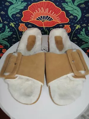 Zara Home Brown Suede Big Buckle Faux Fur Slides Sandals Shoes 39 Nwt • $35.99