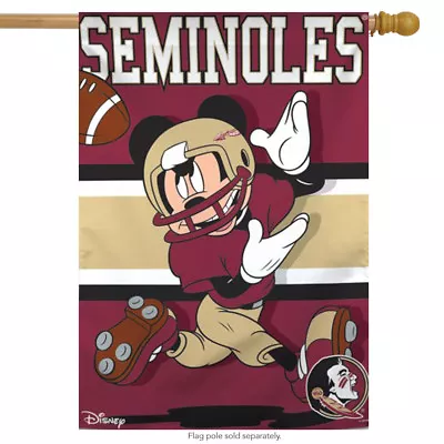 Florida State University Seminoles NCAA Mickey Mouse House Flag Licensed 28 X40  • $27.99