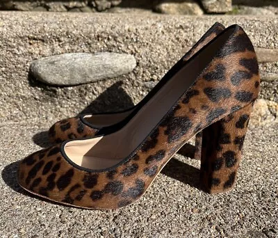 J. Crew Collection Size 9 Leopard Print Animal Hair Chunky Heel Pumps Calf Hair • $89