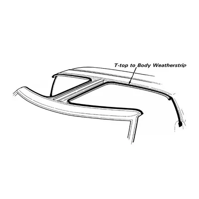 NEW 1984-1986 Ford Mustang T-Top To Body Weatherstrip - Pair • $149.95