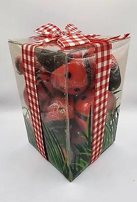 LADYBUG Floating Candles Red Wax Decoration Set Of 18 NIB New Crate & Barrel • $19.99