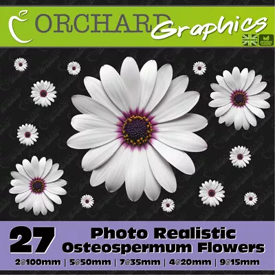 27 Osteospermum Gerbera Daisy Flower Car Stickers Vinyl Decal Bedroom Wall Art • £5.95