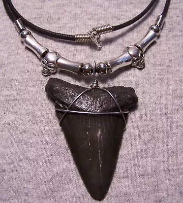 Mako Shark Tooth Necklace 2 1/8  Sharks Teeth Fossil Jaw Megalodon Scuba Diver • $25