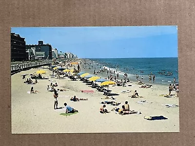Postcard Virginia Beach VA Sun Bathing Sand Beach Ocean Hotels Vintage PC • $3.19