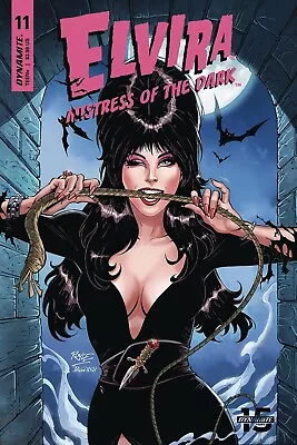 Elvira Mistress Of The Dark Poster Comic 13x19 Art Print High Quality B2G1 Free • $14.75