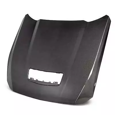 TYPE-OE Carbon Fiber DOUBLE SIDED HOOD 2024-2024 For FORD MUSTANG • $1889