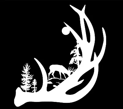$3.45 • Buy Deer Antler With Buck Forest Back Ground Vinyl Decal Sticker Car Truck Window