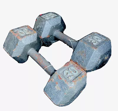 30LB HEX CAST IRON DUMBBELL SET PAIR FREE WEIGHTS 60# Home Gym Fitness Equipment • $116.15
