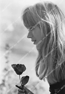 Crp-3443 1970 Music British Pop Singer Marianne Faithfull W A Rose Film Naked Un • $13.99