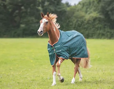 Shires Typhoon Lite No Fill 0G Lightweight Horse/Pony Turnout Rug  | Green • £44.09