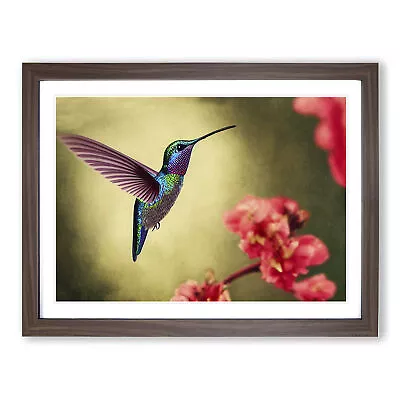 Electrifying Floral Hummingbird Wall Art Print Framed Canvas Picture Poster • £34.95