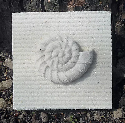 Sea Shell Tile Mold Plaster Concrete Casting Mould 4.25  X 4.25  X 1/3  Thick • $8.95