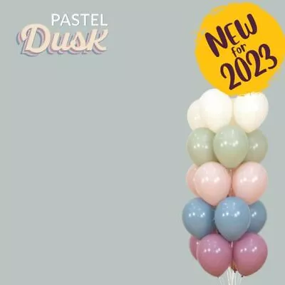 Sempertex 5inch/12inch Round Pastel Dusk Latex Balloon Macaron Colours • $1.85