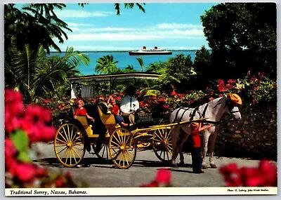 Postcard Bahamas Nassau Traditional Horse Drawn Surrey Tour Horse Wearing Hat • $7