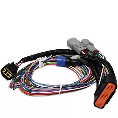 MSD 7780 Power Grid Harness - Replacement • $153.95