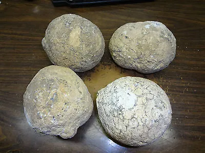 Wholesale Lot Of 4 -  4 Inch Las Choyas Hollow Crystal Geodes • $206.95