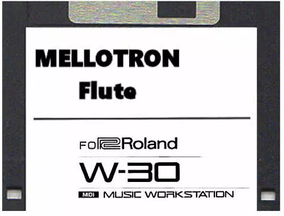 MELLOTRON - FLUTE Sound For ROLAND W-30 On Floppy SOUND DISK • $4.97