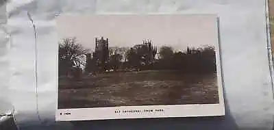 Antique Postcardreal PhotoCathedralParkElyMuswell Hill1918MarchCambridge • £12