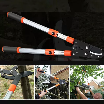 Garden Telescopic Long Pruning Pruner Shear Fruit Tree Cut Picker Lopper Scissor • £19.98