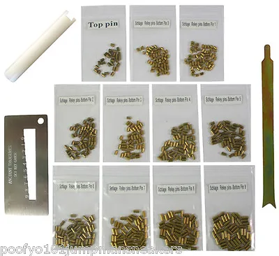 Custom Schlage Rekey Kit Landlord Rekeying Pins Kits Bottom Pin 0 - 9 3 Tools • $19.99