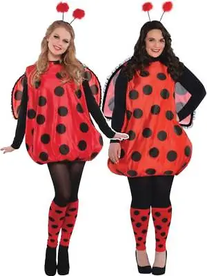 Ladies Darling Lady Bird Costume Adults Bug Fancy Dress Outfit Ladybird STD - XL • £26.99