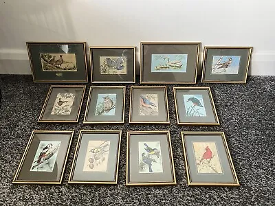 A Collection Of 12 Cash's Silk Woven Pictures - Nature Birds J&J Cash • £95