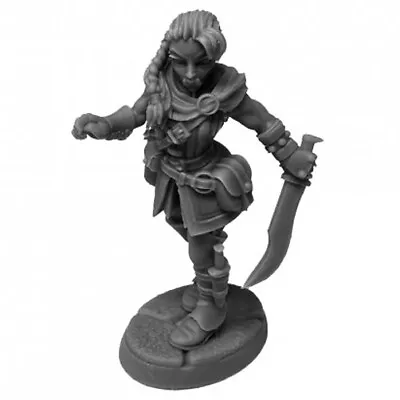 REM07098 Reaper Dungeon Dweller: Emrul Gozgul Half-Orc Rogue • £11.01