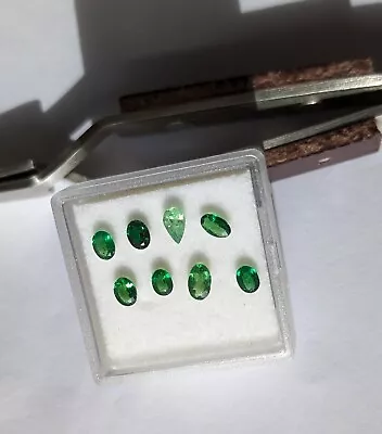 8 Natural TSAVORITE GARNET Average Gem Size 0.2 Ct Ea. • $59