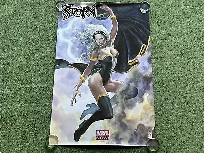 Marvel Now 2013 X-Men Storm Comic Book Art Poster Rolled 36x24 • $29.95