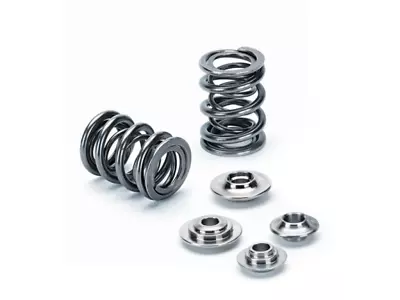 Supertech Honda H22 Dual Valve Spring Kit • $432.78