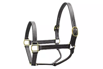 Derby Originals Cambridge Triple Stitch Leather Halter - Horse & Cob Size • $42.99