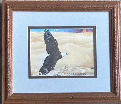 Flying Bald Eagle Framed Print Mario F. Fernandez Hanging Wall Art Desert Scene • $29.95