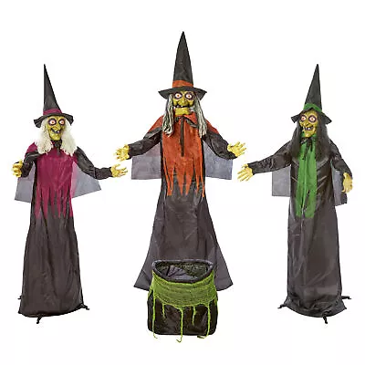 Lifesize Halloween Standing Witch Set 3 Witches + Light Up Cauldron Display Prop • £199