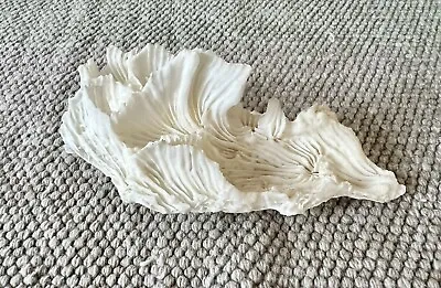 Dried White Coral 4 Inches Long • $28
