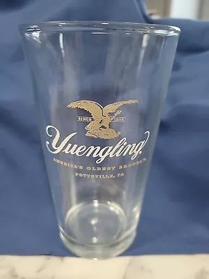 Yuengling With Eagle In Gold  Beer Glass Pottsville PA USA • $8.99