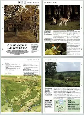 Ramble Across Cannock Chase - Country Walks - The Living Countryside 2 Pages • £1.75