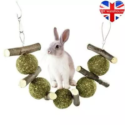 Rabbit Hamster Chew Grass Ball Branch Molar Guinea Pig Pet Teething Grinding Toy • £5.98