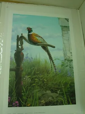 The Red Jacket Pheasant Print By Mario Fernandez S/N 31 X 21 Inches • $125