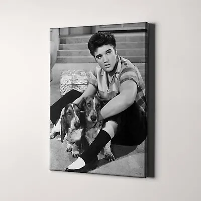 Elvis Presley Basset Hounds Dogs In Jailhouse Rock 1950s Canvas Wall Art Print • $49