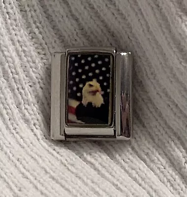 Bald Eagle With USA American Flag 9mm Italian Modular Link Charm For Bracelet • $1.99