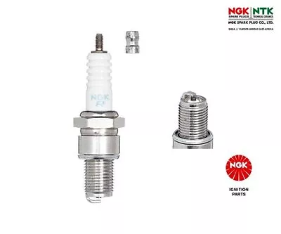 Spark Plug Quick NGK 3988 • $17.55