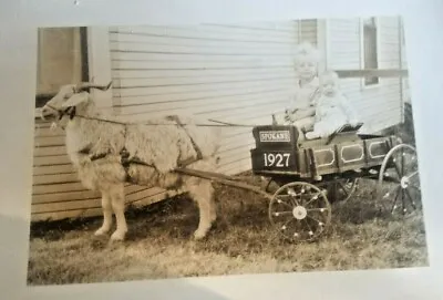 1927 Photo Of Children In Goat Cart- Spokane Wash.+ (2) Vintage Linen Postcards • $29.99